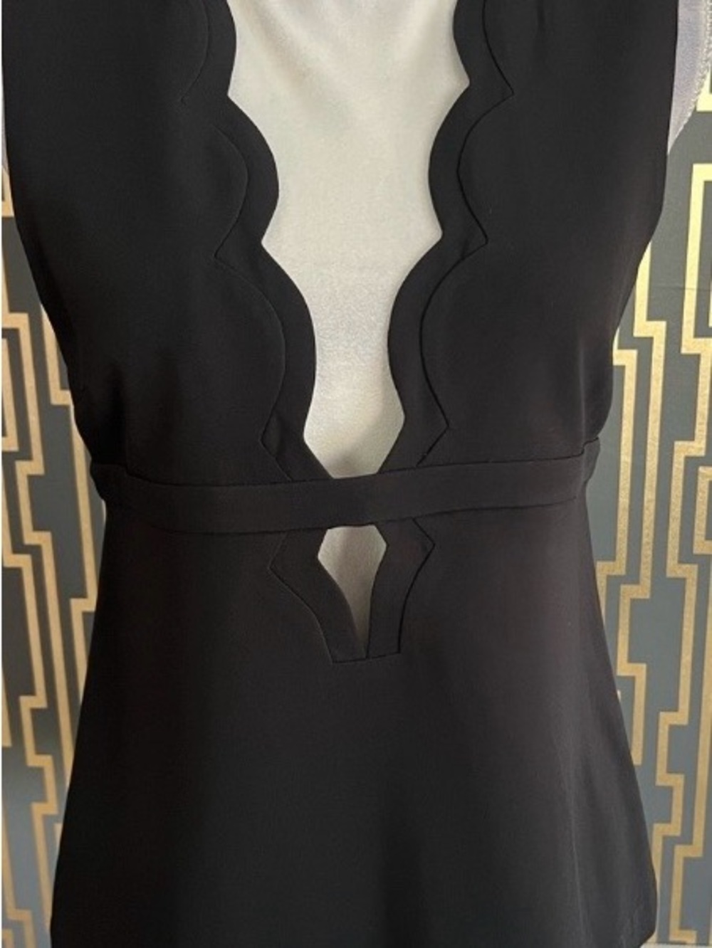 NWT, Scallop-Trim Black V-Neck Women's Top